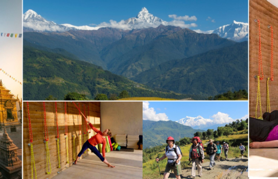 Nepal Nature Retreat November 2024