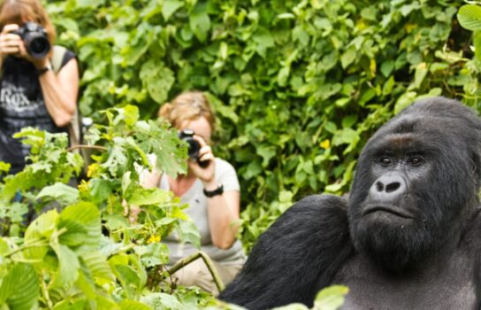 Unique Uganda July 2026