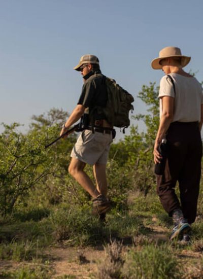 bush walks- safari