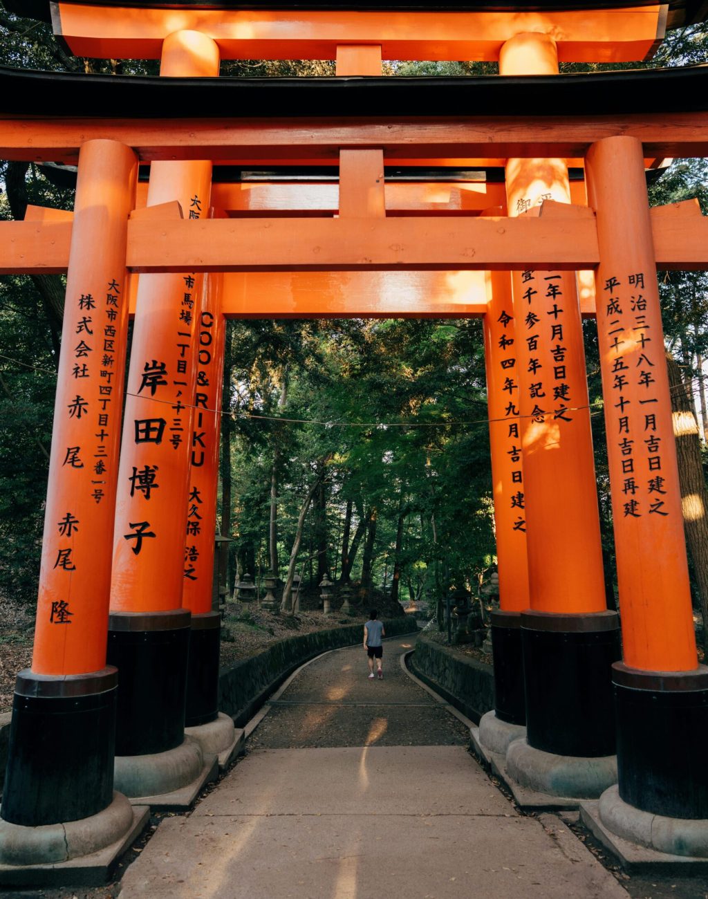 pexels-ekrulila-33021433